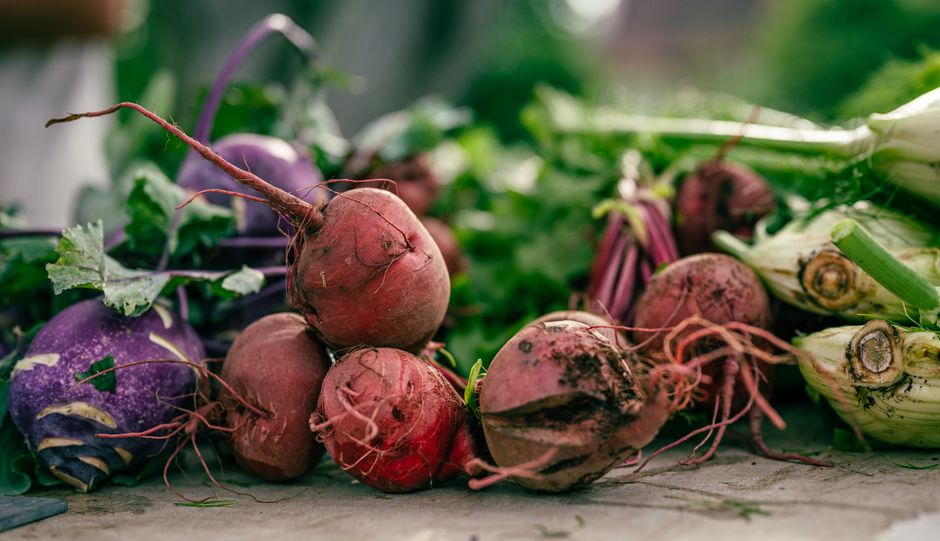 beets — Yes during pregnancy