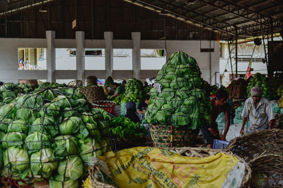 cabbage — Yes during pregnancy