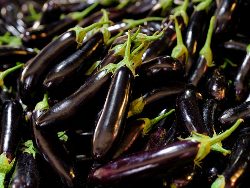eggplant