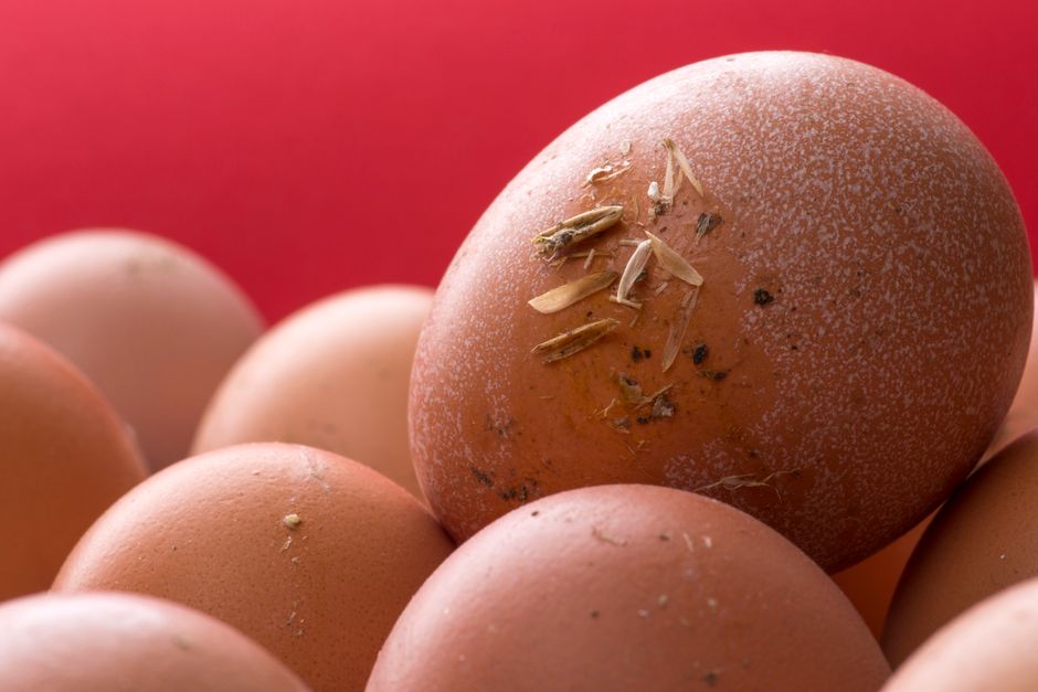 raw eggs