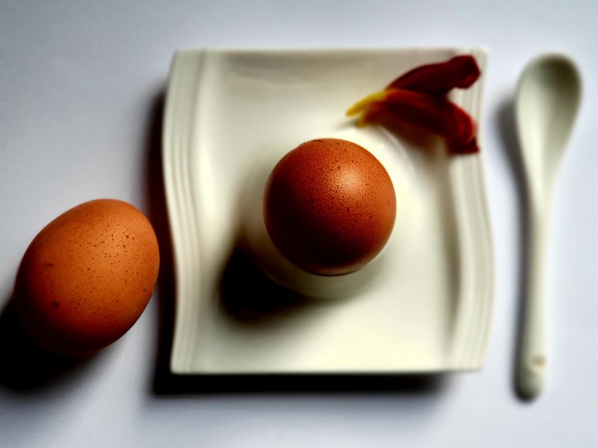 eggs