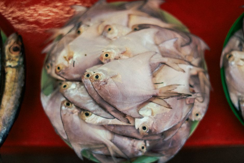 raw fish