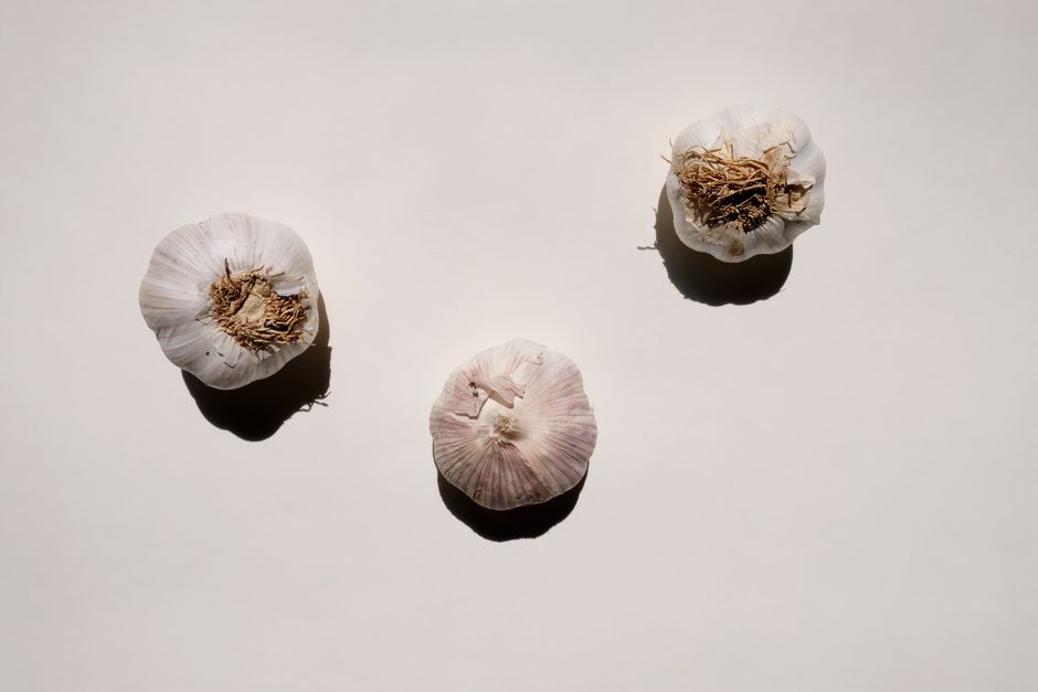 garlic