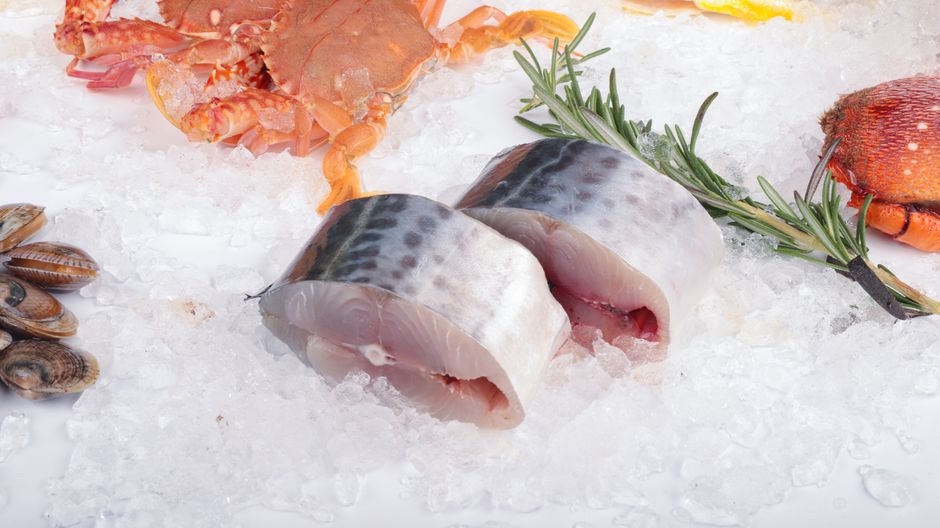 king mackerel
