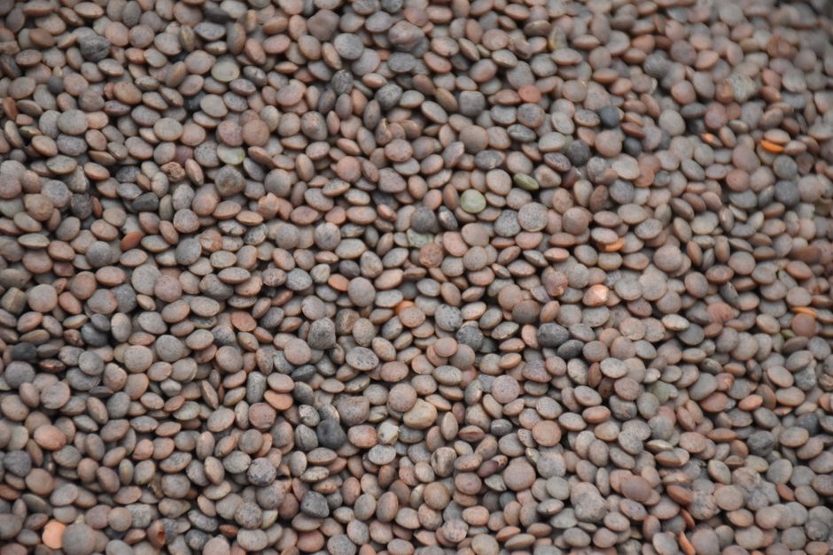 lentils