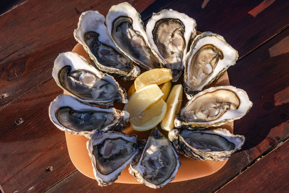 raw oysters