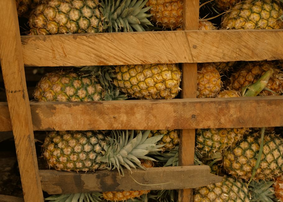 pineapple — Yes during pregnancy